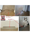 KittySmart Carpet Scratch Stopper Stop Cats from Scratching Carpet at Doorway (CSS 30 fits Doors 29 1/2 - 29 15/16 in Width.)