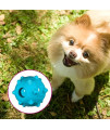 Chase n Chomp Amazing Squeaker Ball Toy for Pets, Knobble, 2.5 Inch