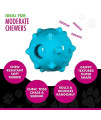 Chase n Chomp Amazing Squeaker Ball Toy for Pets, Knobble, 2.5 Inch