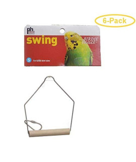 Birdie Basics 3x4 Birch And Wire Swing
