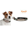 NFL New York Jets Classic Leather Football Collar, Small