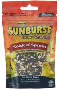 Higgins Sunburst Soak And Sprout 3 Ounce