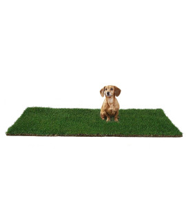 DoggieLawn Dog Potty - Real grass - XLarge 24x48 inches