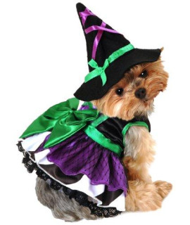 Anit Accessories 12-Inch Scary Witch Dog costume Small