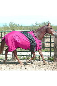 Exselle Prima Big Horse to Blanket Raspberry - Black Raspbry 98