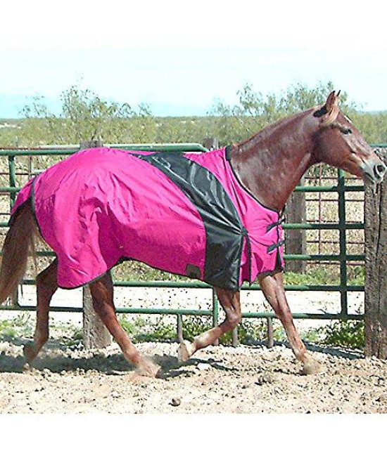 Exselle Prima Big Horse to Blanket Raspberry - Black Raspbry 98
