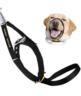 The Canny Collar For Dog Training And Walking Helps With Dog Training And Stops Dogs Pulling On The Lead - Black
