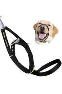 canny collar Dog Head collar, No Pull Leash Training Head Harness, Easy to Fit Halter that Stops Pulling, comfortable calm control with Padded collar, Kind To Your Dog, Enjoy gentle Walks with Small, Medium or Large Dogs, Black, Blue, Purple Red