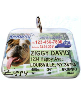 ID4Pet Kentucky State Drivers License Personalized for Dogs and cats (Regular 1.5 x 1.125)