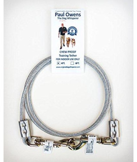 Paul Owens, The Original Dog Whisperer 4 Ft. Chew-Proof Training Tether for Dogs & Puppies