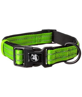 Alcott Flexi Explorer Adventure Pet Collar, Large, Green,CLR LG EX GR