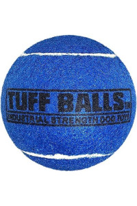 PetSport 2-Pack Tuff Blue Ball