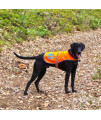 SafetyPUP XD Dog Reflective Vest. Sizes to Fit Dogs 14 lbs to 130 lbs. Blaze Orange Hi Vis Dog Vest Protects Dogs from Cars & Hunting Accidents. (Large 61lbs - 100lbs)