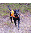 SafetyPUP XD Dog Reflective Vest. Sizes to Fit Dogs 14 lbs to 130 lbs. Blaze Orange Hi Vis Dog Vest Protects Dogs from Cars & Hunting Accidents. (Large 61lbs - 100lbs)