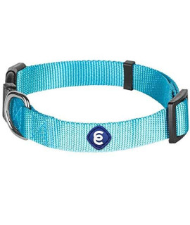 Blueberry Pet Essentials 22 Colors Classic Dog Collar, Turquoise, Small, Neck 12-16 Nylon Collars For Dogs