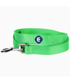 Blueberry Pet Essentials 21 Colors Durable Classic Dog Leash 5 Ft X 58, Neon Green, Small, Basic Nylon Leashes For Dogs