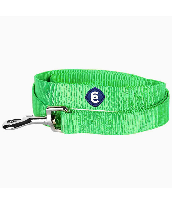 Blueberry Pet Essentials 21 Colors Durable Classic Dog Leash 5 Ft X 58, Neon Green, Small, Basic Nylon Leashes For Dogs