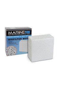 CerMedia MarinePure Block Bio-Filter Media for Marine and Freshwater Aquariums, 8 by 8 by 4-Inch