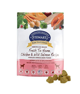 Stewart Raw Naturals Freeze Dried Dog Food Grain Free Made in USA with Chicken & Salmon, Fruits, & Vegetables for Fresh To Home All Natural Recipe, 12 oz.