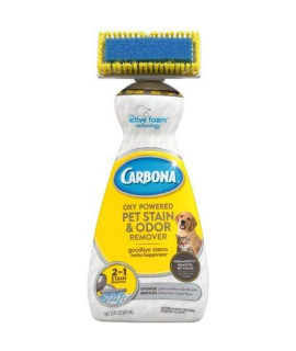 Carbona 2 in 1 Oxy-powered Pet Stain