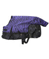 600D Medium Weight Horse Pony Blanket Water Proof Rip Stop Purple Zebra Print 56"