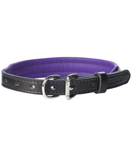 Perris Leather Padded Leather Dog collar X-Large Black with Purple