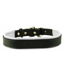 Perris Leather Padded Leather Dog collar X-Small Black with White