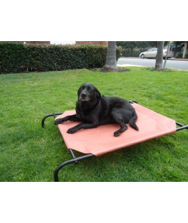 ZZZ-cOT Steel Framed Elevated Pet Bed -Large