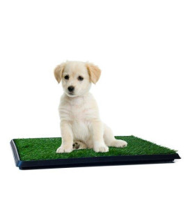 Artificial Grass Puppy Pad for Dogs and Small Pets  Portable Training Pad with Tray  Dog Housebreaking Supplies by PETMAKER