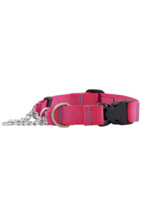 Canine Equipment Technika 1-Inch Quick Release Martingale Dog Collar, Large, Raspberry