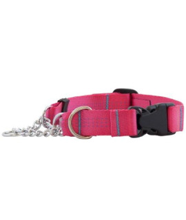 Canine Equipment Technika 1-Inch Quick Release Martingale Dog Collar, Large, Raspberry