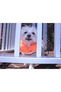 Puppy Bumpers Reflective Glow Pup Bumper Keep Your Dog on The Safe Side of The Fence - Glow Orange Up to 10