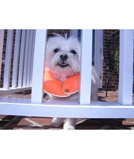 Puppy Bumpers Reflective Glow Pup Bumper Keep Your Dog on The Safe Side of The Fence - Glow Orange Up to 10