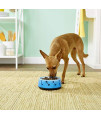 Dogit Dog Food and Water Bowl, BPA-Free Dog Dish, Non-Skid Dog Bowl, Blue, 90411