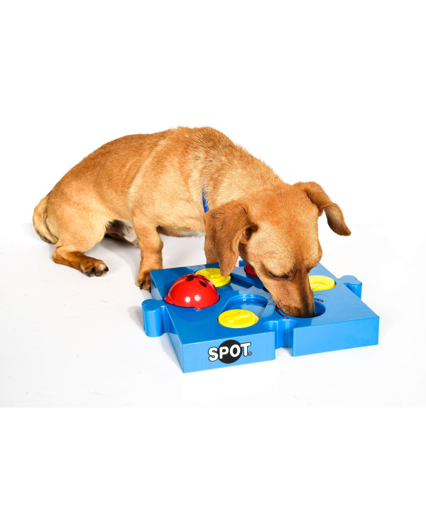 Buy SPOT Seek-a-Treat Flip 'N Slide Treat Dispenser for Dogs, Dog Treat  Dispenser, Dog Treat Dispenser Toy, Interactive Puzzle, Dog Treat Toys  For Boredom