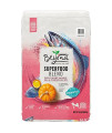 Purina Beyond Natural Dry Dog Food, Superfood Blend Salmon, Egg & Pumpkin Recipe - 14.5 lb Bag