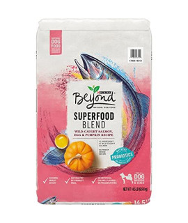 Purina Beyond Natural Dry Dog Food, Superfood Blend Salmon, Egg & Pumpkin Recipe - 14.5 lb Bag