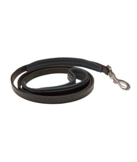 Perris Leather 12-Inch Black with Black Skinny Padded Leather Dog Leash 5-Feet