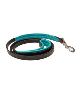 Perris Leather 12-Inch Black with Turquoise Skinny Padded Leather Dog Leash 5-Feet