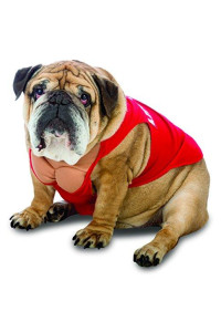 Rasta Imposta Lifeguard Dog Costume, Medium