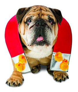 Rasta Imposta Chick Magnet Dog Costume, Medium/Large