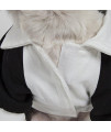 Pet Life Varsity-Buckled Collared Dog Coat - Cotton Dog Sweater With Added Trims And Details - Dog Jacket For Small Medium Large Dogs