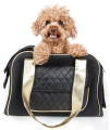 PET LIFE Mystique Airline Approved Fashion Designer Travel Pet Dog carrier, One Size, Black
