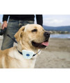 PET LIFE Aniti-Shock Waterproof Safe Anti-Bark Training Collar Trainer, White