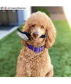 Chris Christensen Big K Dog Slicker Brush, Groom Like a Professional, Fluff Detangle Style, Saves Time Energy, Black, Large