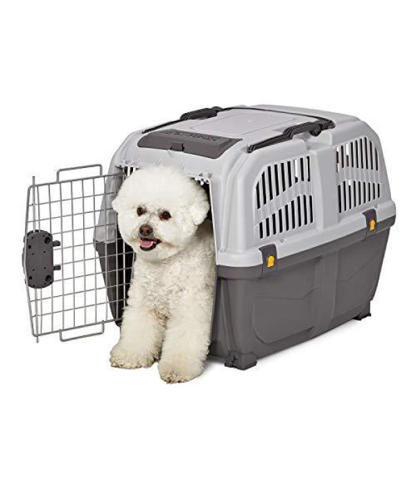 Jespet Soft-Sided Airline-Approved Travel Dog & Cat Carrier, Gray/Red, Small/Medium