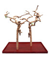A&E cage company Large Double Java Wood Tree with carving 73x36x66 Java Wood
