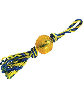 Paws Aboard Interactive Pet Play Toy44; Rubber Ball with Rope T1234