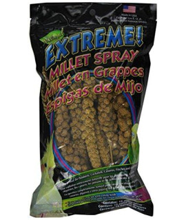 F.M.BrownS 42398 Extreme Millet Spray, 12-Pack