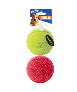 Nerf Dog Classic Ball Dog Toy with Interactive Squeaker, Lightweight, Durable and Water Resistant, 3.8 Inches, for Medium/Large Breeds, Two Pack, Green and Red